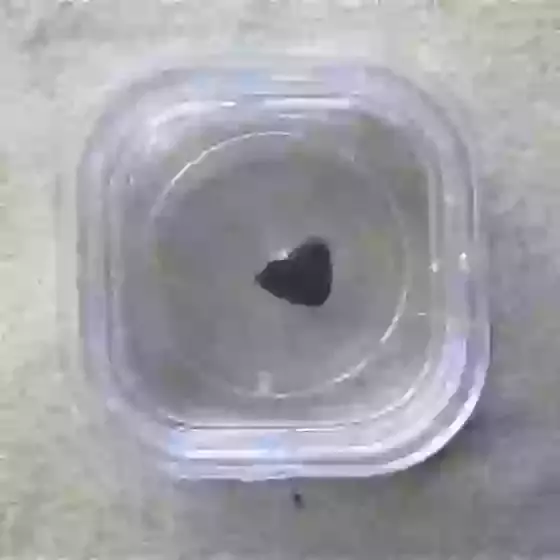 Meteorite Chondrite Mini Fragment In Plastic case Class L5/H5 NWA895